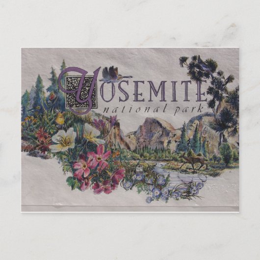 Yosemite Nationalpark Wildlife Postkarte (Vorderseite)