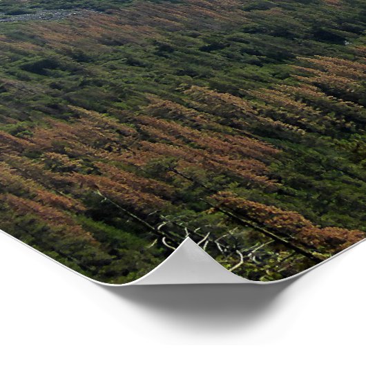 Yosemite Park Landschaft Poster (Ecke)