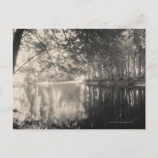 Yosemite Park, Wyoming Postkarte (Vorderseite)