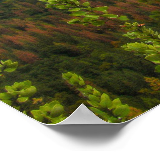 Yosemite Poster (Ecke)