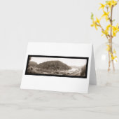 Yosemite Railroad Foto 1907 Karte (Gelbe Blume)