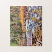 Yosemite River Forest Park. Puzzle (Vertikal)