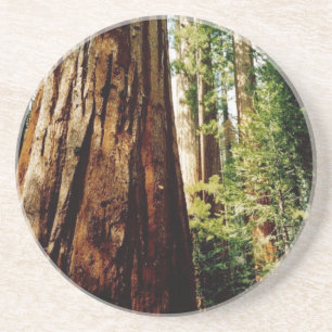 Yosemite-Rothölzer Getränkeuntersetzer