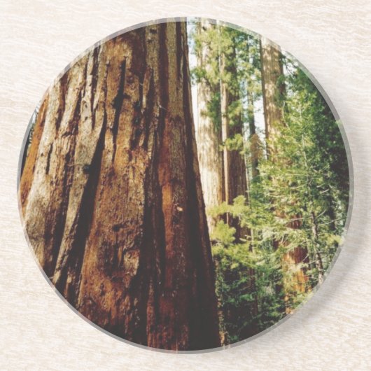 Yosemite-Rothölzer Getränkeuntersetzer (Vorne)