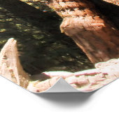 Yosemite-Sequoia-Foto-Poster Poster (Ecke)