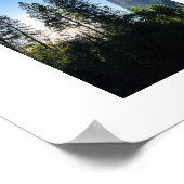 Yosemite Sunlit Trees Color Fotografy Poster (Ecke)