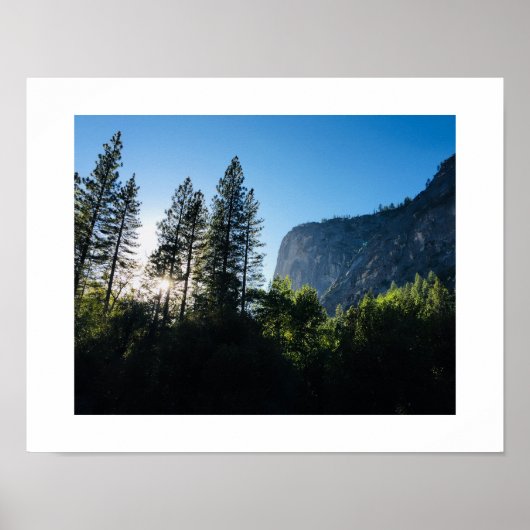 Yosemite Sunlit Trees Color Fotografy Poster (Vorne)