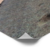 Yosemite Tenaya Lake Poster (Ecke)