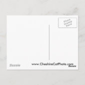 Yosemite Valley April California Products Postkarte (Rückseite)