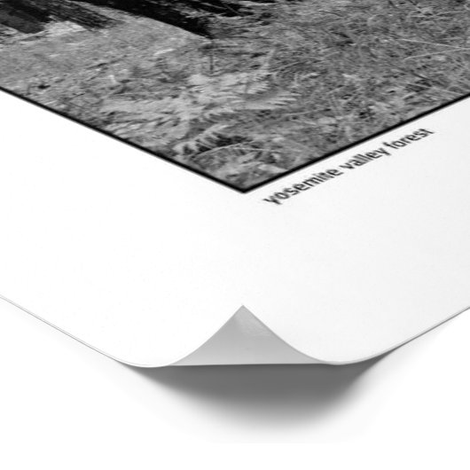 Yosemite Valley Forest Poster (Ecke)