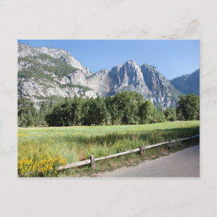 Yosemite Valley Meadow, El Capitan, Staycation Postkarte