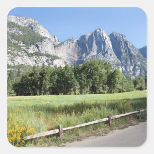 Yosemite Valley Meadow, El Capitan, Staycation Quadratischer Aufkleber