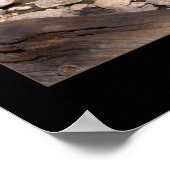 Yosemite Valley Poster (Ecke)