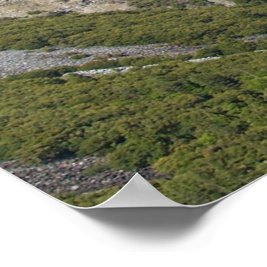 Yosemite Valley View Poster (Ecke)