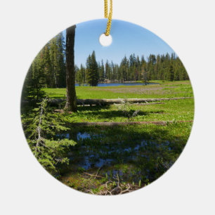 Yosemite-Wiese mit Sternschnuppen Keramik Ornament