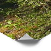 Yosemite-Wiese mit Sternschnuppen Poster (Ecke)