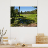 Yosemite-Wiese mit Sternschnuppen Poster (Küche)
