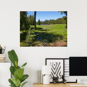 Yosemite-Wiese mit Sternschnuppen Poster