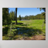 Yosemite-Wiese mit Sternschnuppen Poster (Vorne)