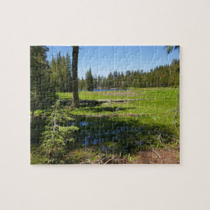Yosemite-Wiese mit Sternschnuppen Puzzle