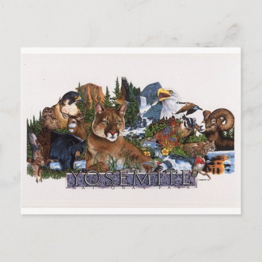 Yosemite Wildlife Postkarte (Vorderseite)