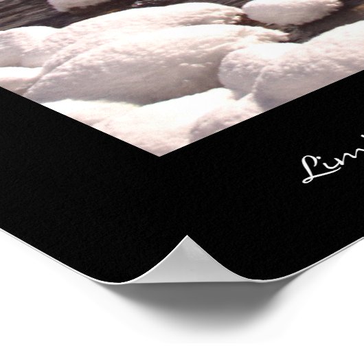 Yosemite Winter Poster (Ecke)