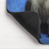 Yoshi das siamesische Miezekatze-Katzen-Kätzchen Mousepad (Ecke)