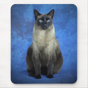 Yoshi das siamesische Miezekatze-Katzen-Kätzchen Mousepad