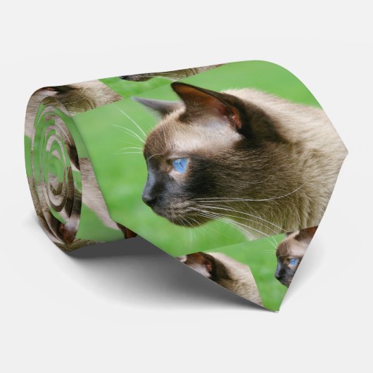 Yoshi die siamesische Katzen-Krawatte Krawatte (Gerollt)