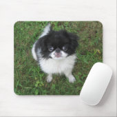 Yoshi Mousepad (Mit Mouse)