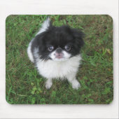 Yoshi Mousepad (Vorne)