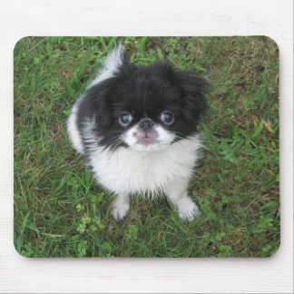 Yoshi Mousepad