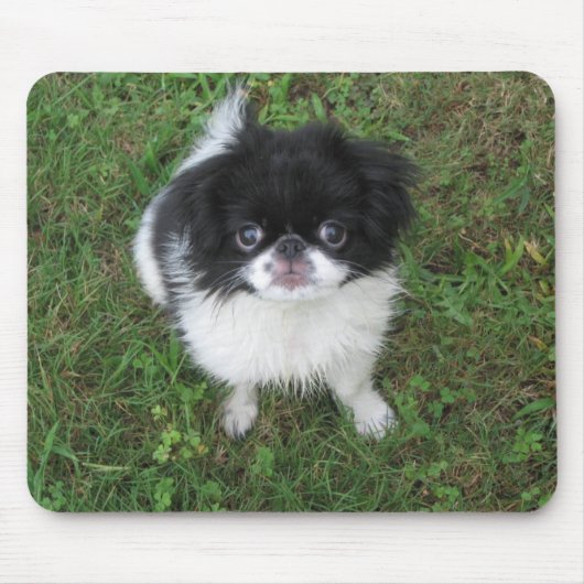 Yoshi Mousepad (Vorne)