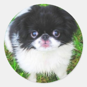 Yoshi Welpen-Aufkleber Runder Aufkleber