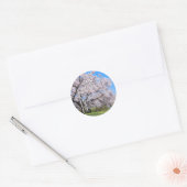 Yoshino Cherry ラウンドシール Runder Aufkleber (Umschlag)