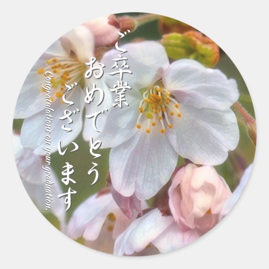 Yoshino Cherry ラウンドシール Runder Aufkleber (Vorderseite)