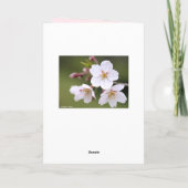 Yoshino Cherry: Faltete Karten (Rückseite)