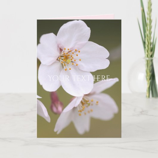 Yoshino Cherry: Faltete Karten (Vorderseite)