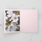 Yoshino Cherry: Faltete Karten (Innenseite)