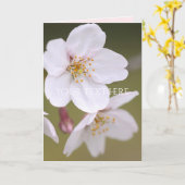 Yoshino Cherry: Faltete Karten (Gelbe Blume)