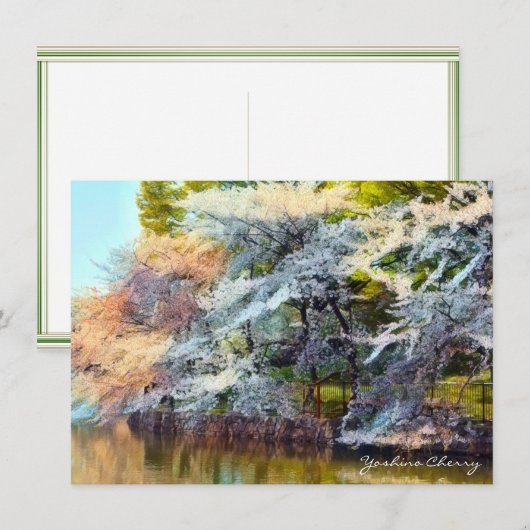 Yoshino Cherry: Flat Card Karte (Vorne/Hinten)