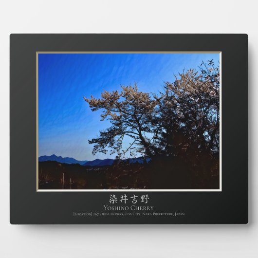 Yoshino Cherry Fotoplatte (Vorderseite)