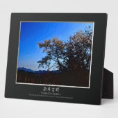 Yoshino Cherry Fotoplatte (Seite)