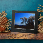 Yoshino Cherry Fotoplatte (Seite)