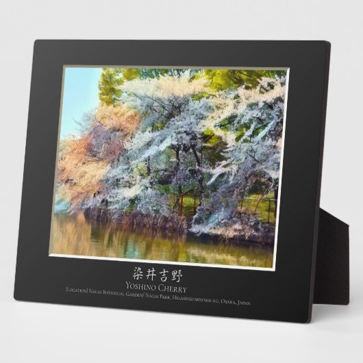 Yoshino Cherry Fotoplatte (Seite)