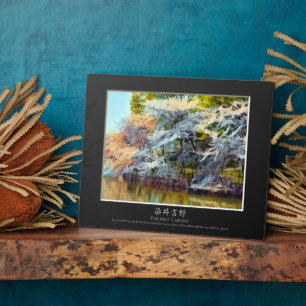 Yoshino Cherry Fotoplatte