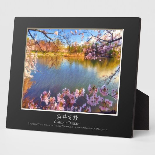 Yoshino Cherry Fotoplatte (Seite)