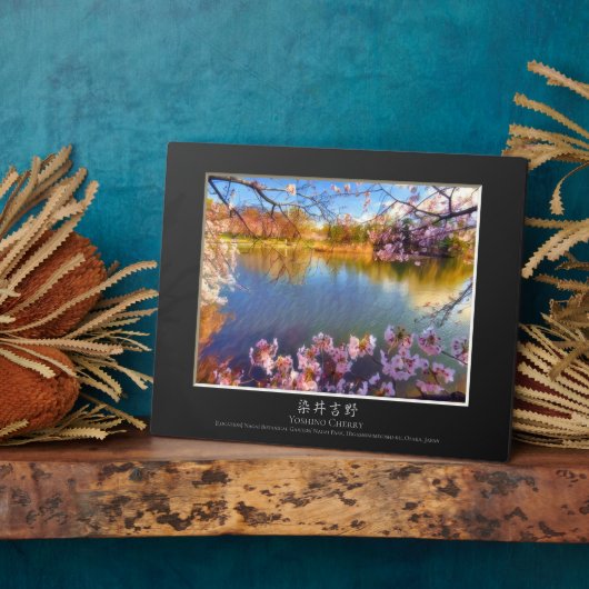 Yoshino Cherry Fotoplatte (Seite)