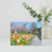 Yoshino Cherry & Iceland Poppy Postkarte (Stehend Vorderseite)