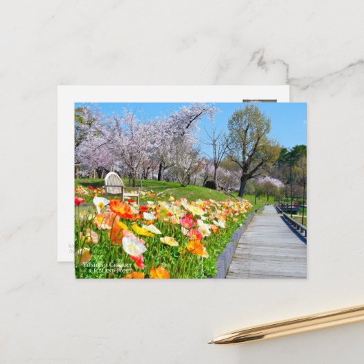 Yoshino Cherry & Iceland Poppy Postkarte (Vorderseite/Rückseite Beispiel)